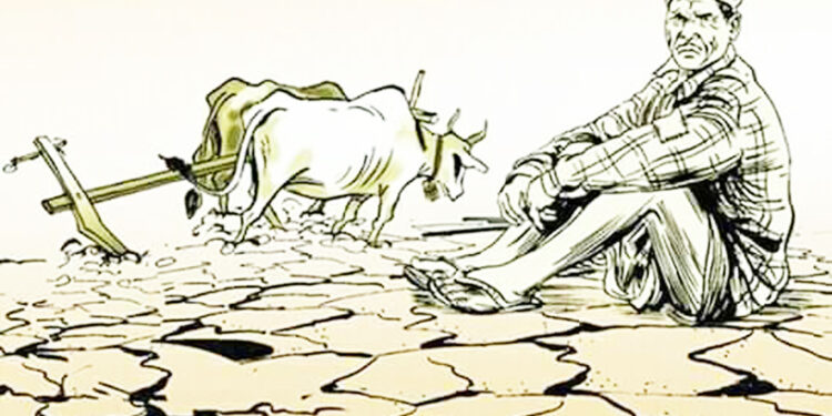 किसानको ऋण र बिमामा पहुँच निराशाजनक