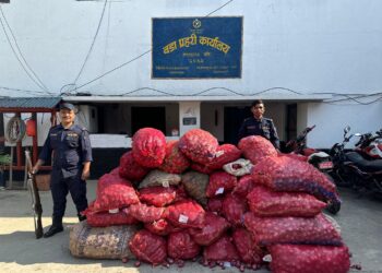 भारतले प्याज प्रतिबन्ध लगाउँदा तस्करी बढ्यो