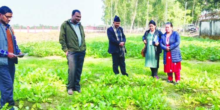 सुध्रिदै बालसुधार गृह