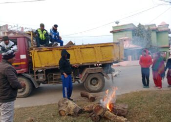 कोहलपुरमा दाउरा वितरण