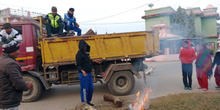 कोहलपुरमा दाउरा वितरण