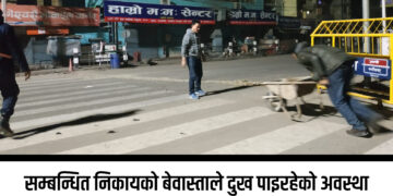 युवाले मध्यरातमा सुर्खेतरोडका खाल्डा पुरेका छन् ।
