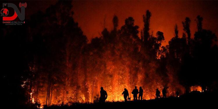 चिलीको जंगल आगलागीः ४६ जनाको मृत्यु