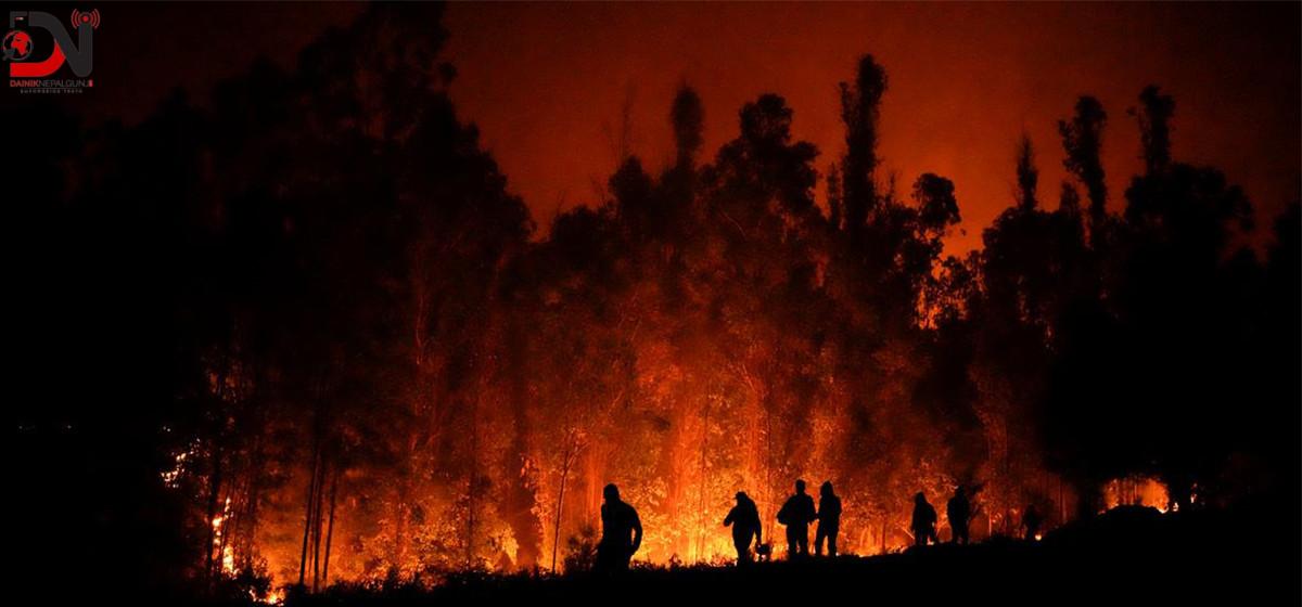 चिलीको जंगल आगलागीः ४६ जनाको मृत्यु