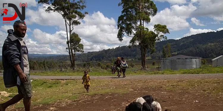 पपुवा न्यू गिनीमा गोली हानी ६४ जनाको हत्या