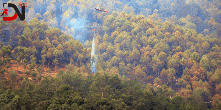 सुक्खा मौसममा डढेलो बढ्ने चेतावनी