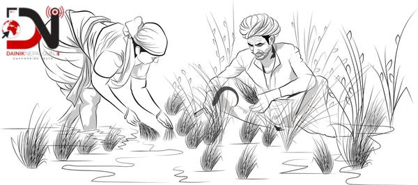 किसानलाई तालिम, तथ्यांक निराशाजनक