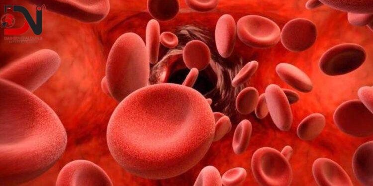 किशोरीमा रक्तअल्पताको समस्या