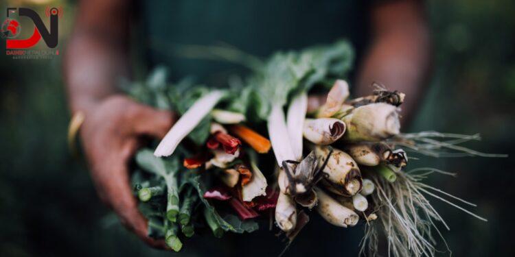 प्रमाणीकरण नहुँदा जडीबुटीले तेस्रो मुलुकको बजार पाएन