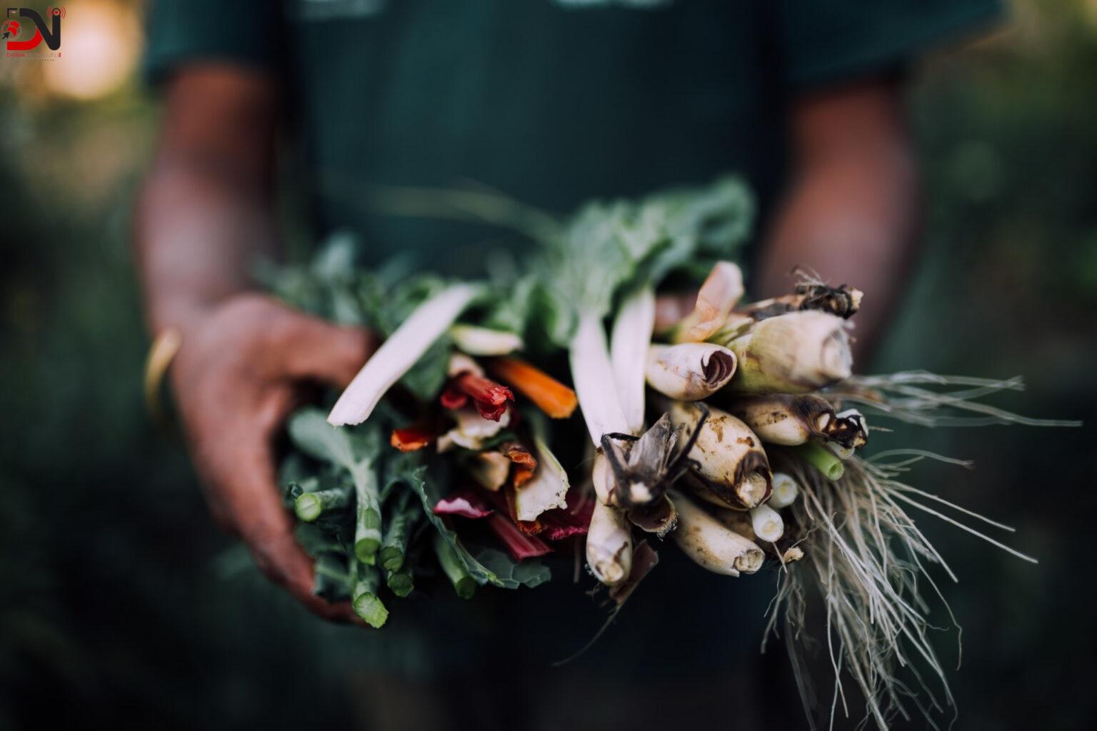 प्रमाणीकरण नहुँदा जडीबुटीले तेस्रो मुलुकको बजार पाएन