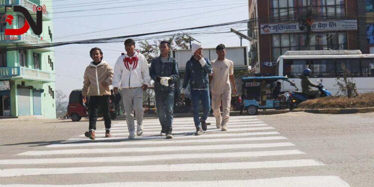 जेब्रा क्रसिङका लागि १२ लाख