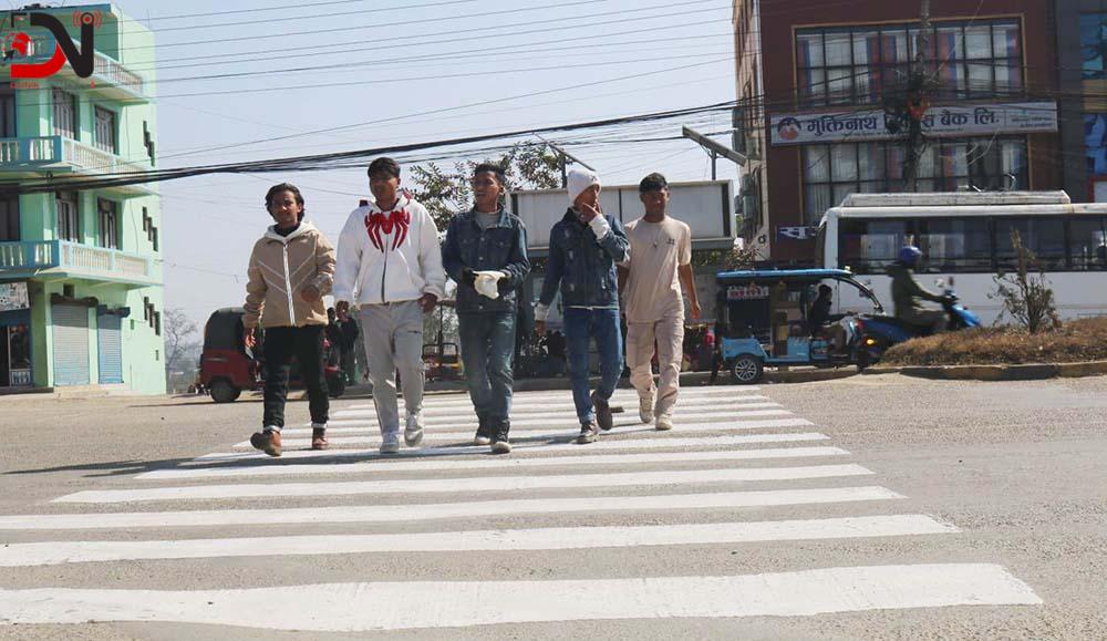 जेब्रा क्रसिङका लागि १२ लाख