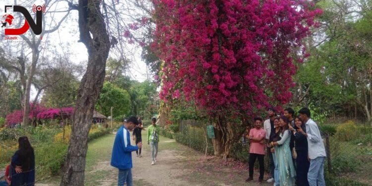 आन्तरिक पर्यटकको रोजाइमा पर्दै ढकेरी