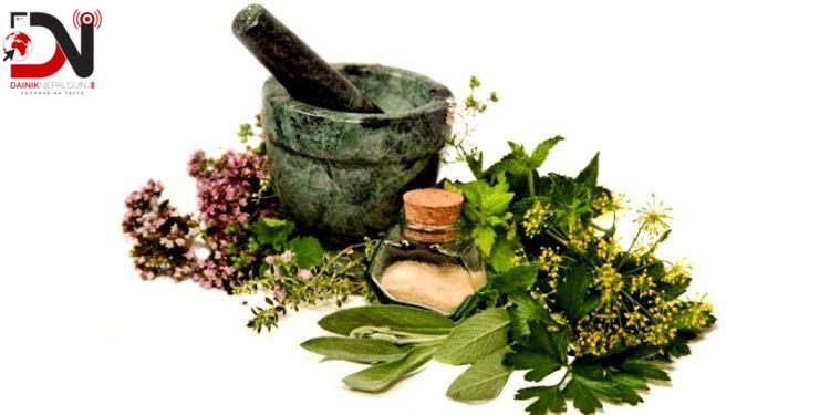 नेपालगन्ज नाकाबाट जडीबुटी निकासीमा ३६ प्रतिशतले बृद्धि