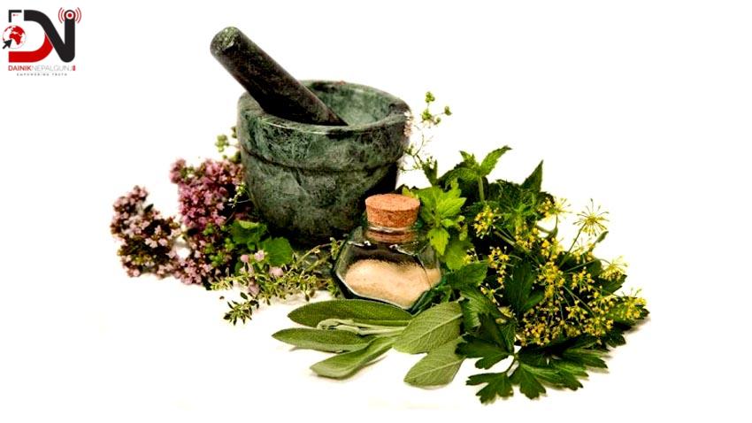 नेपालगन्ज नाकाबाट जडीबुटी निकासीमा ३६ प्रतिशतले बृद्धि