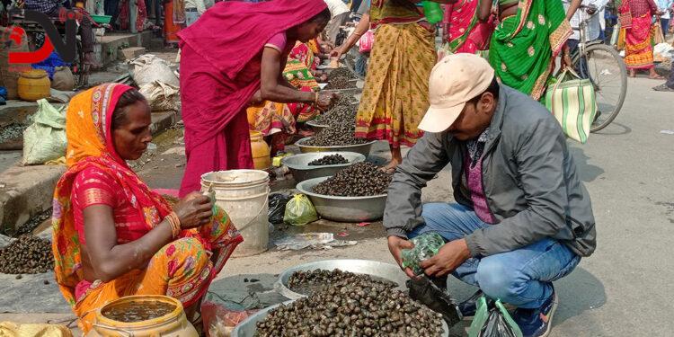 कोहलपुरमा घोङी खाने प्रतियोगिता