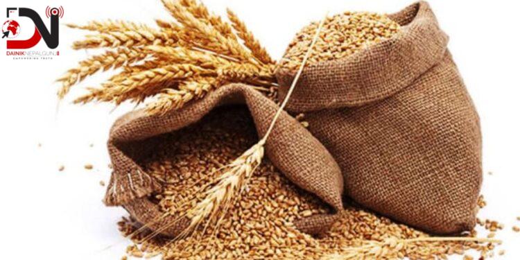 कैलाली भन्सारबाट २६ करोडको गहुँ आयात