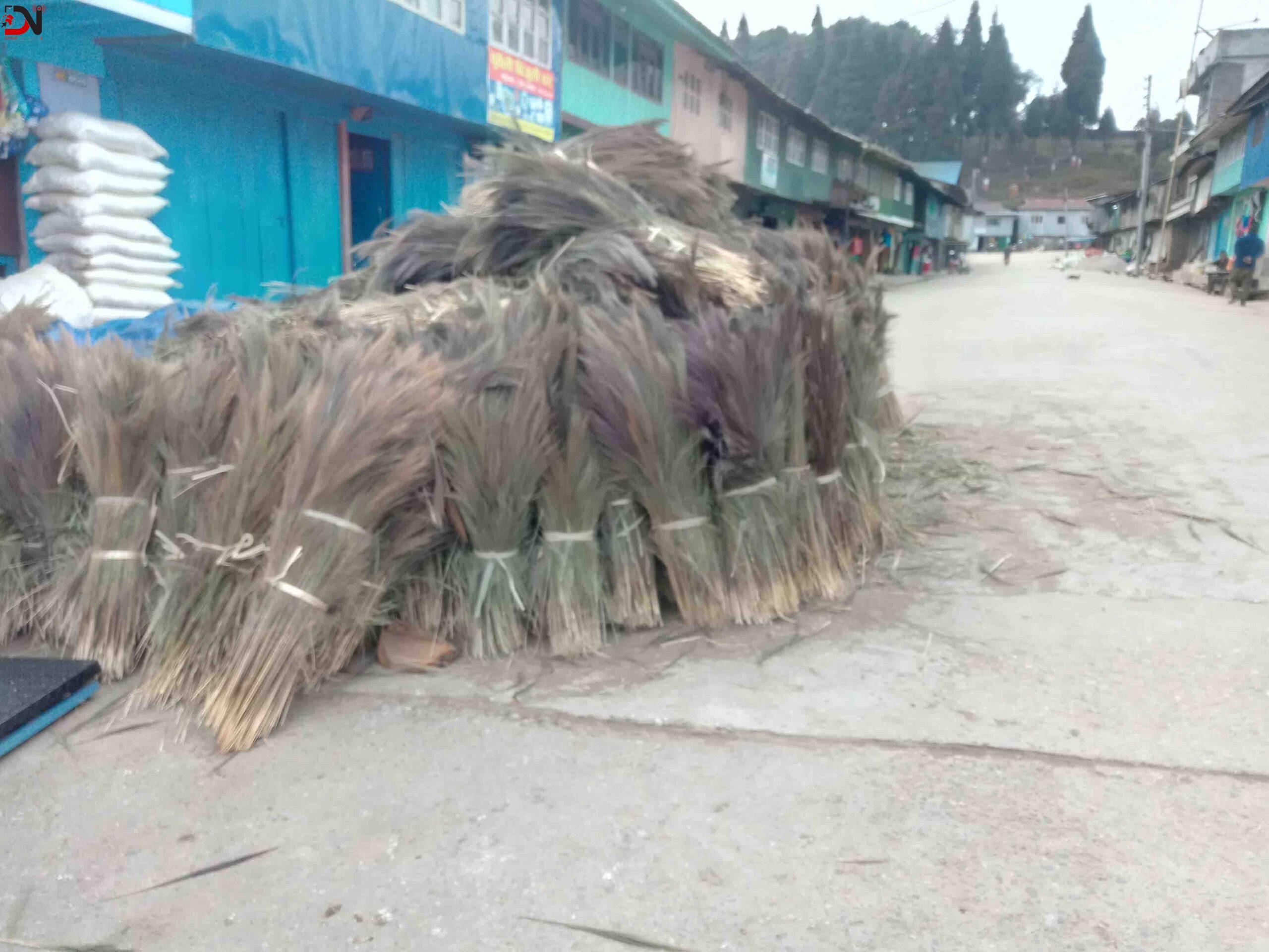 कुचोको मूल्य घटेपछि किसान समस्यामा