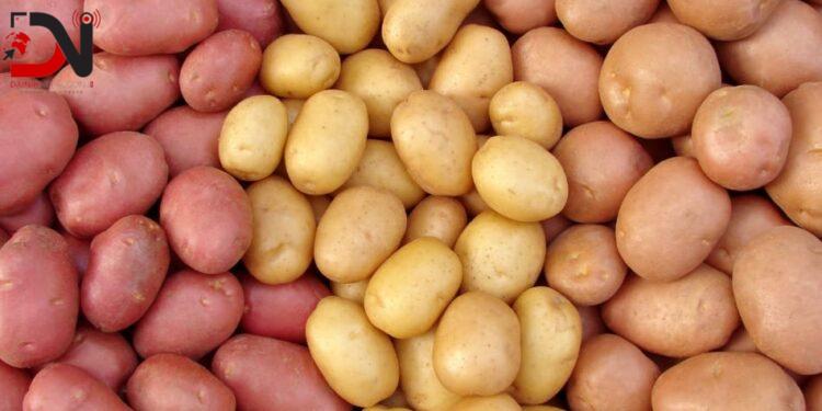 स्थानीय खेतीतर्फ किसानको आकर्षण