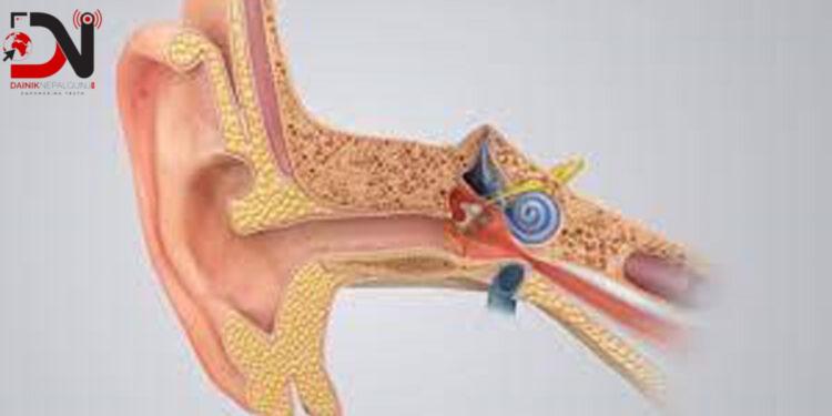 बहिरोपना रोकथामका लागि यस्ता छन् विशेषज्ञका १० सुझाव