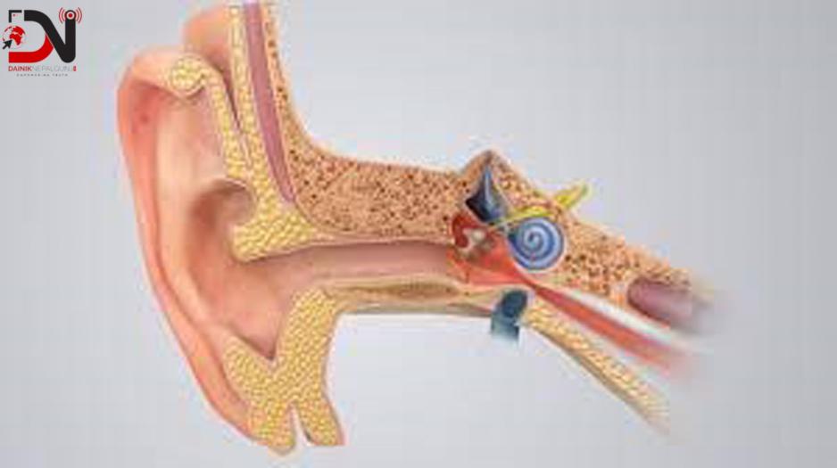 बहिरोपना रोकथामका लागि यस्ता छन् विशेषज्ञका १० सुझाव