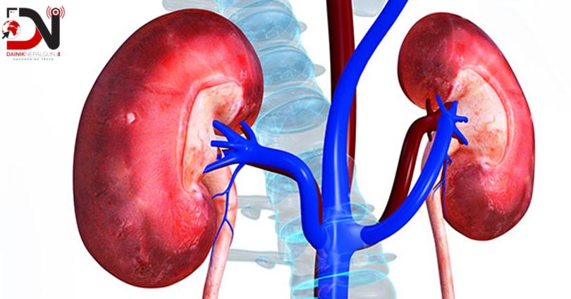 मिर्गौलाको सुरक्षातर्फ बढ्दो जनचासो