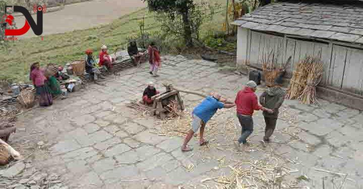 उखु, अमिलो र तोरी पेल्ने परम्परागत ‘कोल’ लोप हुँदै