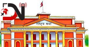 बजेटको सिद्धान्त र प्राथमिकतामाथि छलफल