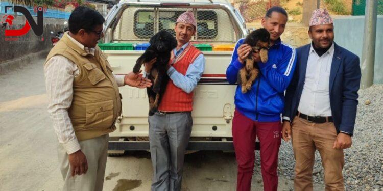 बाँदर धपाउन किसानलाई कुकुर !