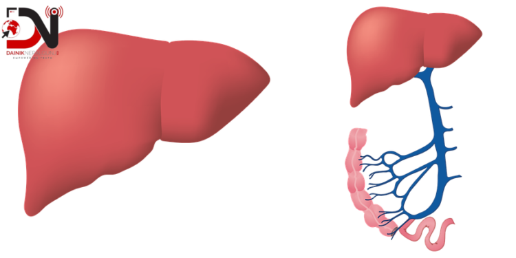 ‘कलेजो स्वास्थ्य राख्न खानपिन र रहनसहनमा ध्यान दिन जरुरी’