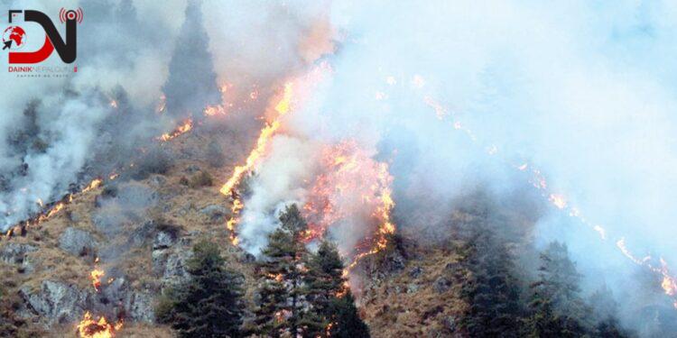 बाँकेका सामुदायिक वनमा डढेलो