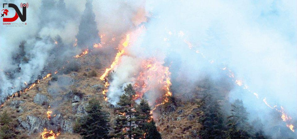 बाँकेका सामुदायिक वनमा डढेलो