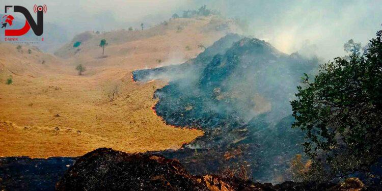 १५ वनको आगो नियन्त्रण बाहिर