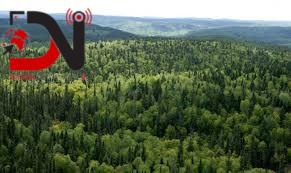 विसं २०८० : वन मन्त्रालयमा केके काम भए ?