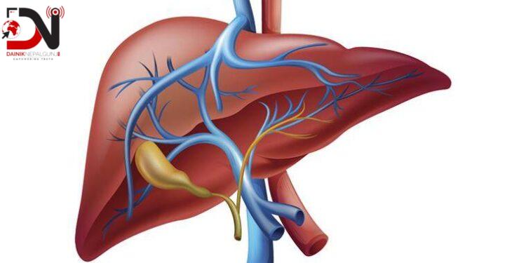 हेपाटाइटिसबाट दैनिक तीन हजार ५०० मानिसको ज्यान जाने गर्छ– डब्ल्यूएचओ