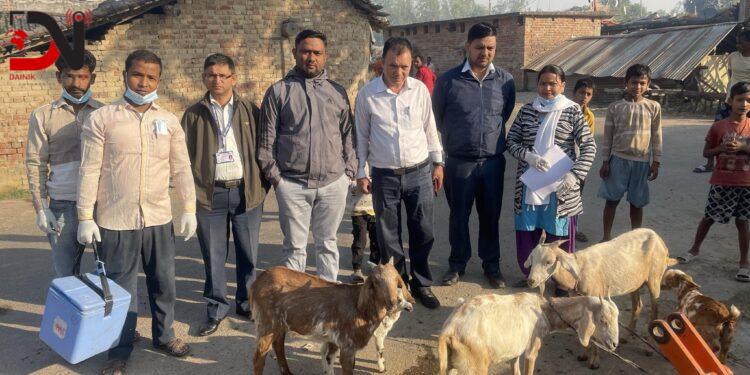 पशुलाई खोप