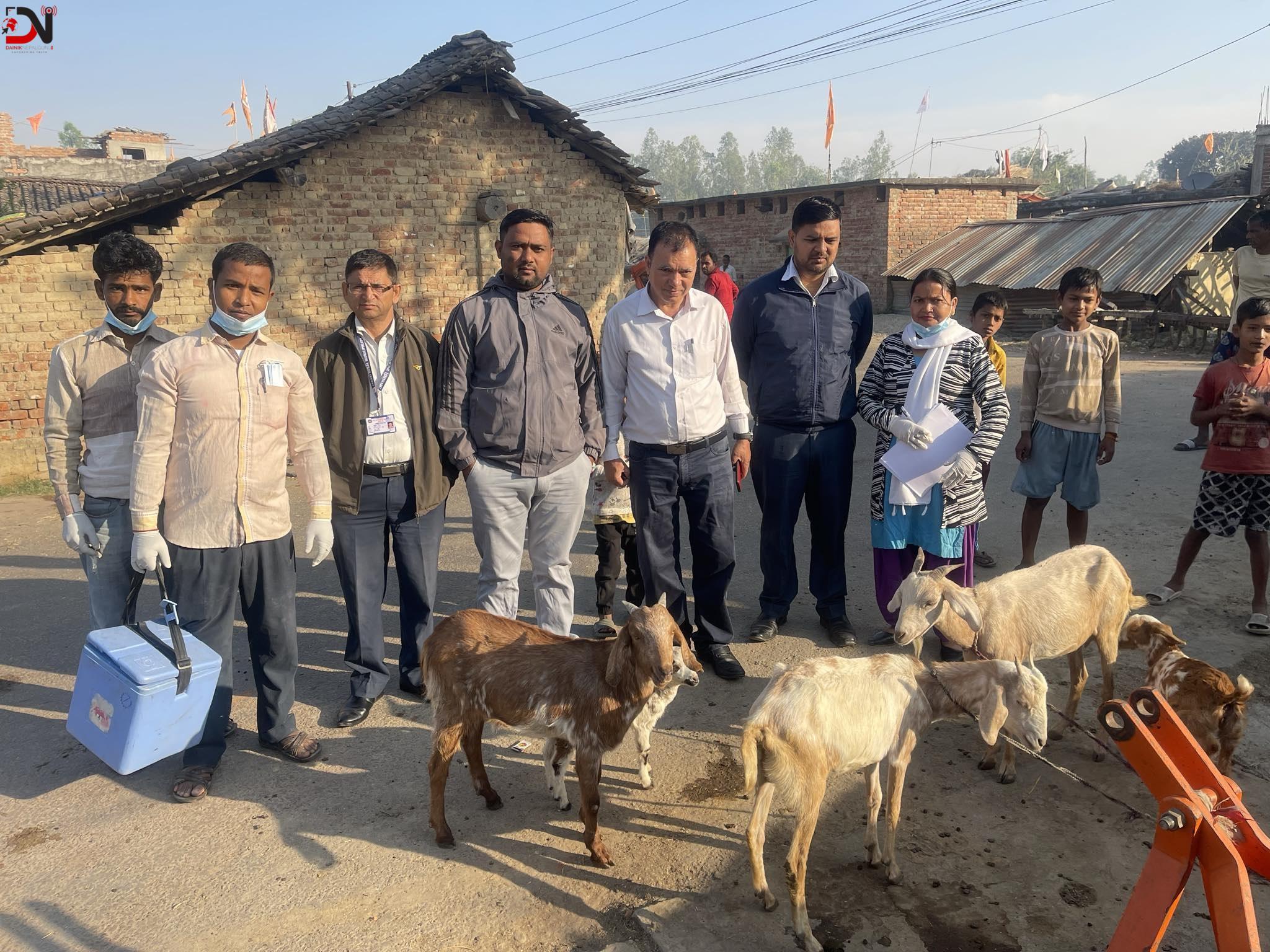 पशुलाई खोप