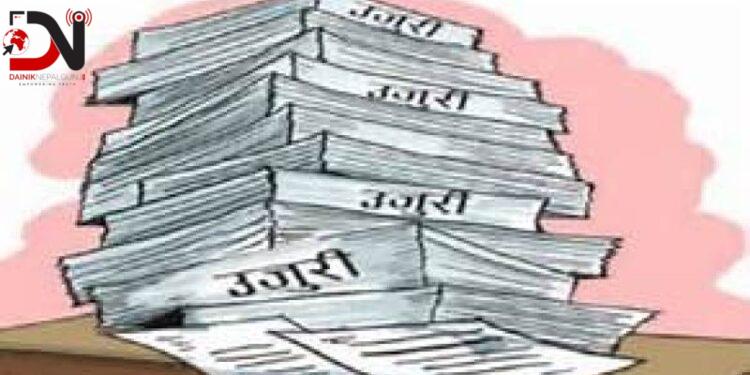 चालु आवमा पर्यटकसँग सम्बन्धित तीन सय ७० उजुरी