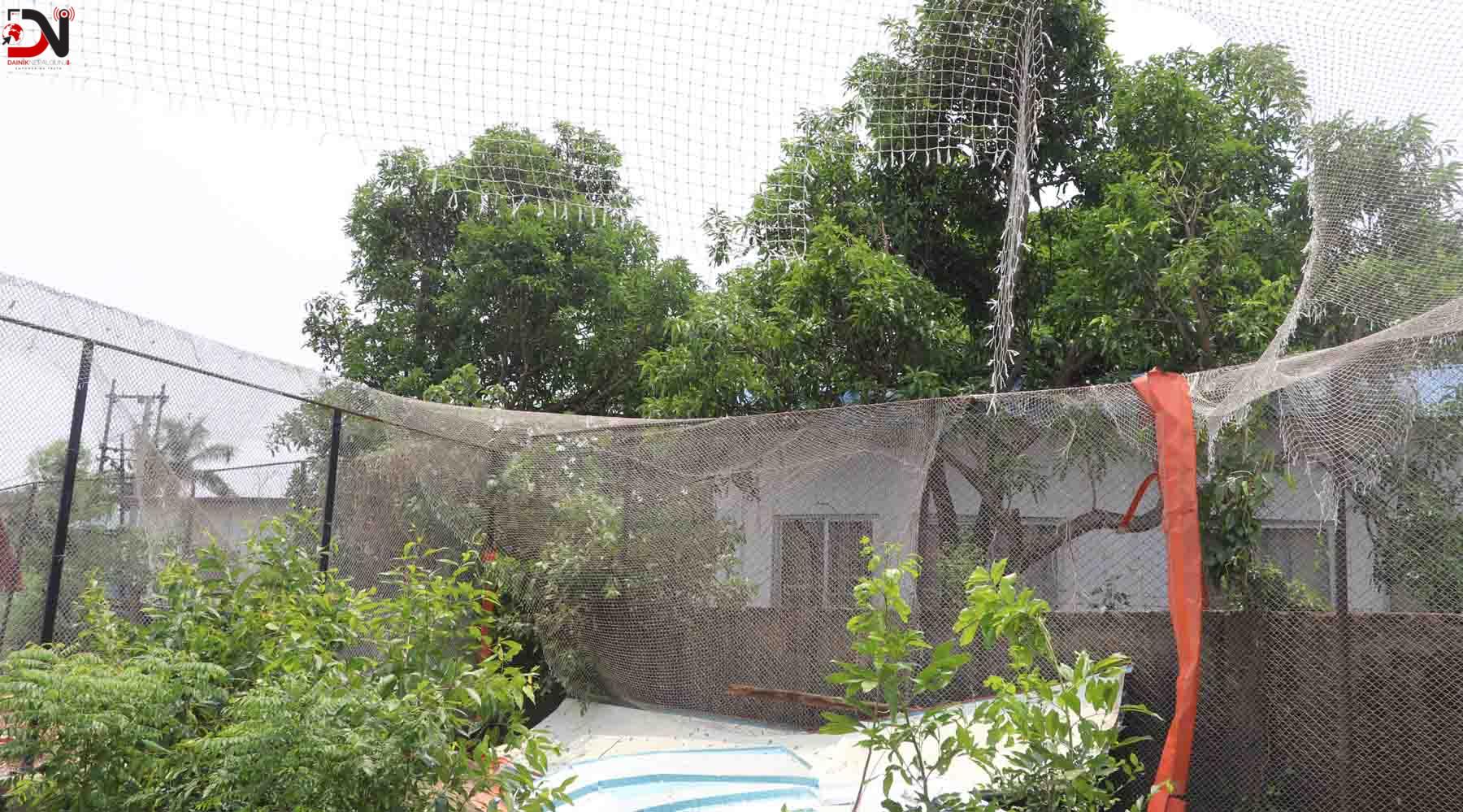 कुखुरा विकास फार्मका दुई सय कुखुरा मरे