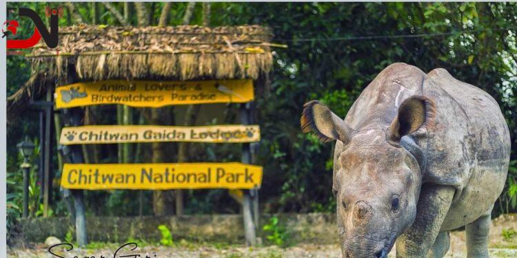 वन्यजन्तु संरक्षण चुनौतीपूर्ण बन्दै, दश महिनामा २१ गैँडा मरे