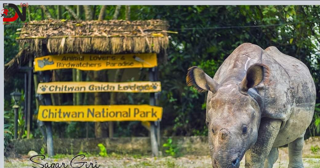 वन्यजन्तु संरक्षण चुनौतीपूर्ण बन्दै, दश महिनामा २१ गैँडा मरे