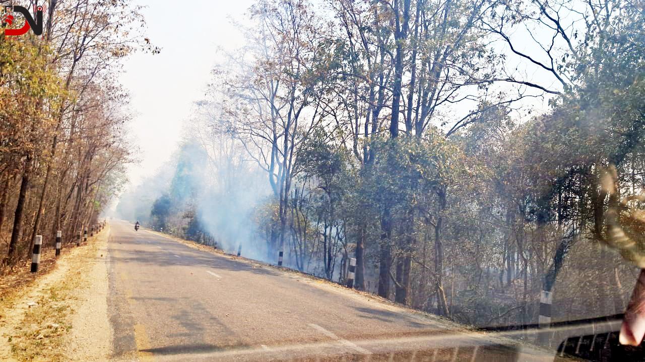 डढेलोले वनै खायो