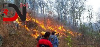 डढेलो नियन्त्रण गर्न प्रभावकारी समन्वय जरुरी : विज्ञ