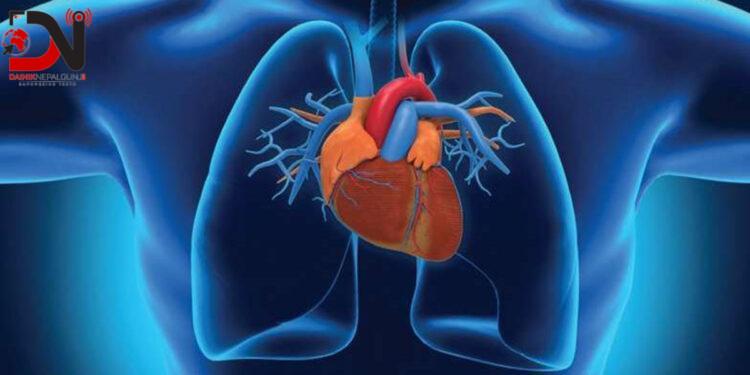 अङ्गदाताको प्रतिक्षामा मिर्गौला र कलेजोका बिरामी