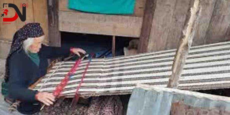 राडीपाखी बुन्ने चलन हराउन थाल्यो