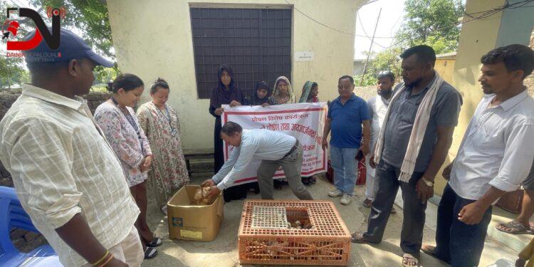 गर्भवतिलाई चल्ला वितरण