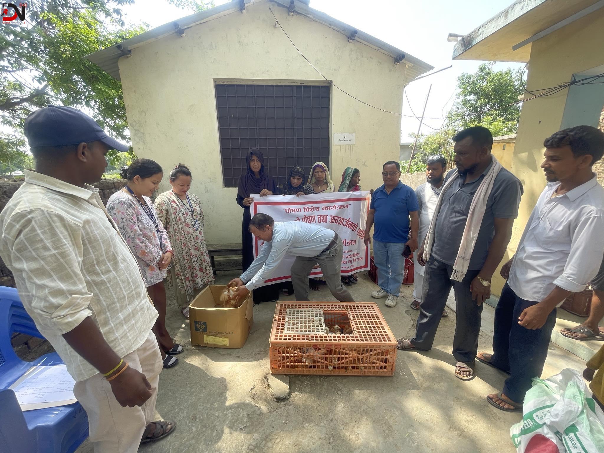 गर्भवतिलाई चल्ला वितरण