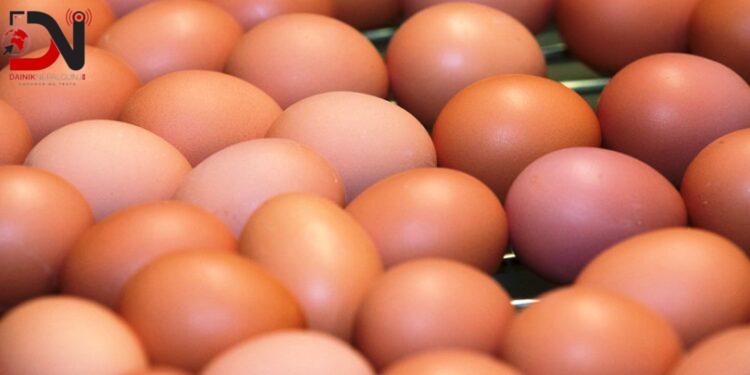 पाँच वर्षपछि किसानले पाए अण्डाको लागत मूल्य
