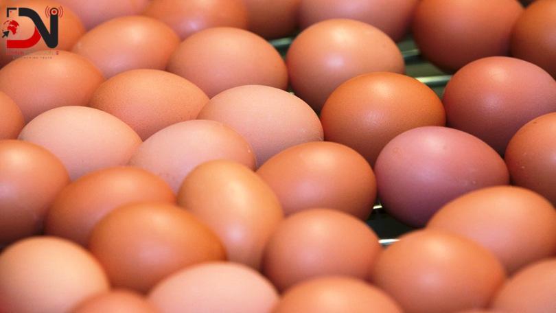 पाँच वर्षपछि किसानले पाए अण्डाको लागत मूल्य