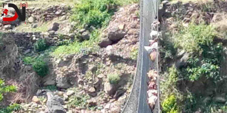 जाली लत्रिँदा १३ खच्चड कर्णालीको झोलुङ्गे पुलमा अड्किए